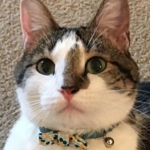 Meet your Posher, Janiece